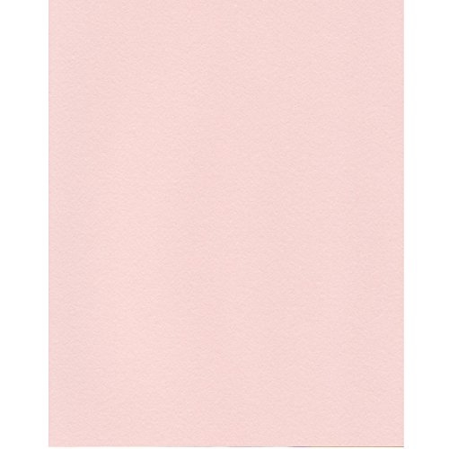 エスケント ケント紙 スターカラー A4 ライトピンク 100枚 5728007