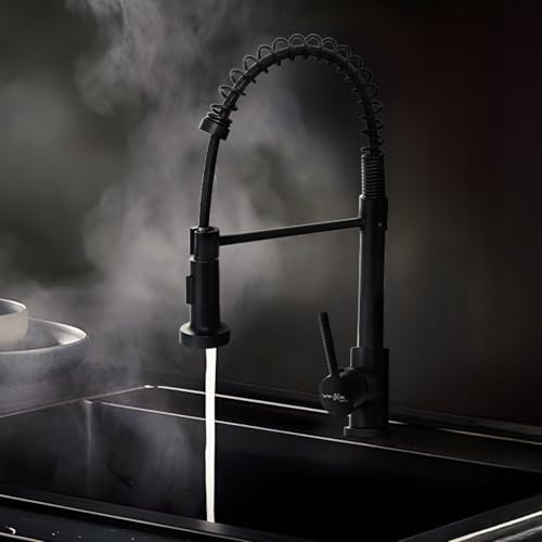 Image of Hindware Italian Collection 2-Function Pull Out Kitchen Sink Mixer for Kitchen with Spring Feature | Made of 304-grade Stainless Steel | Elegant Matte Black Finish | 5-Year Manufacturer Warranty