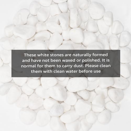 Image of White Natural River Rocks, 1-1.5 Inch Decorative Stones for Plants, Garden, and Landscaping - 10LB, Ideal for Fish Tanks, Vases, Crafting, Home Decor, and Outdoor Landscaping