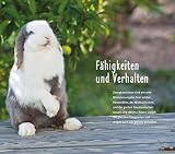 300 Fragen zum Zwergkaninchen - 11