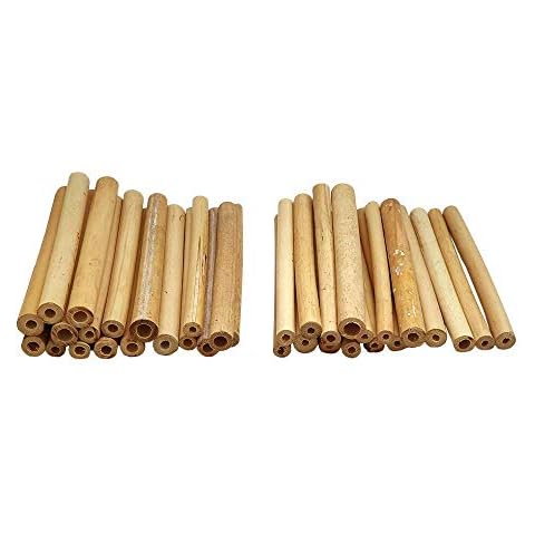 Tubes en Bambou pour Abeilles VIE Cover