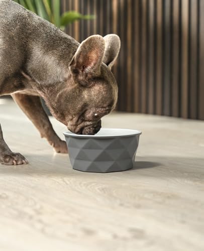 lionto Futternapf aus Keramik mit rutschfestem Silkonboden, 550 ml, Hundenapf aus robustem & geruchsneutralem Material, leicht zu reinigen, ergonomisches Design, Wassernapf für Hunde&Katzen, grau