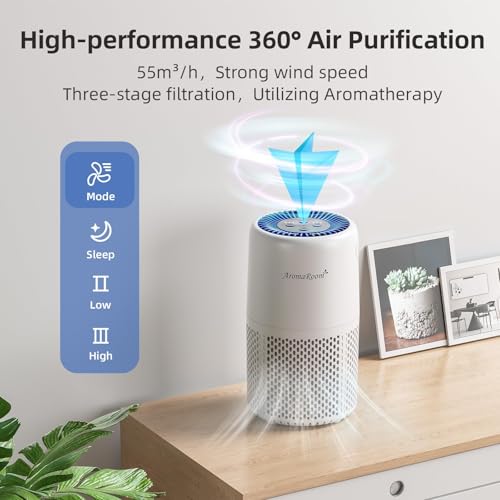 AromaRoom H13 HEPA Air Filter