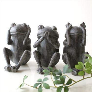 �J�G�� �u�� �I�u�W�F ���� ������� ���g�� �C���e���A ���� ���� 3�C�Z�b�g