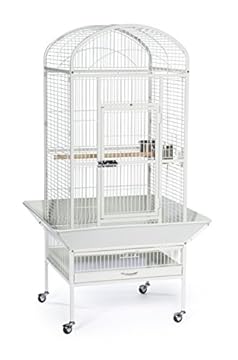 powder coated bird cages for parrots review