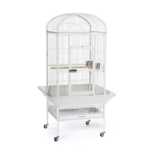 Prevue Pet Products Large Dome Top Bird Cage w/Dual Locks - M, Chalk White