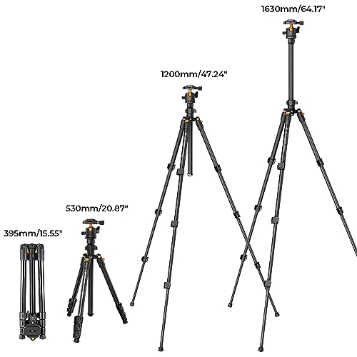 Reisestativ K&F Concept K234A0 für Kamera und Handy, 163 cm