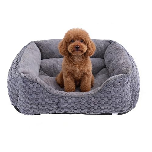 GOBOBE Plüsch-Hundebett, klein, dunkelgrau, maschinenwaschbar, Hundesofa mit Kissen, 51 x 48 x 15 cm, Maiskorn-Design, rutschfeste Unterseite, Dicke PP-Baumwollpolsterung