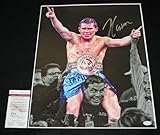 Julio Cesar Chavez signed 16 x 20, WBC, IBF, WBA, JSA COA - Autographed Boxing Photos