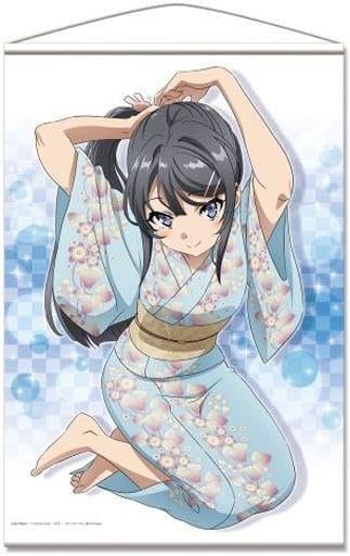 Amazon.co.jp: 青春ブタ野郎はバニーガール先輩の夢を見ない 青ブタ