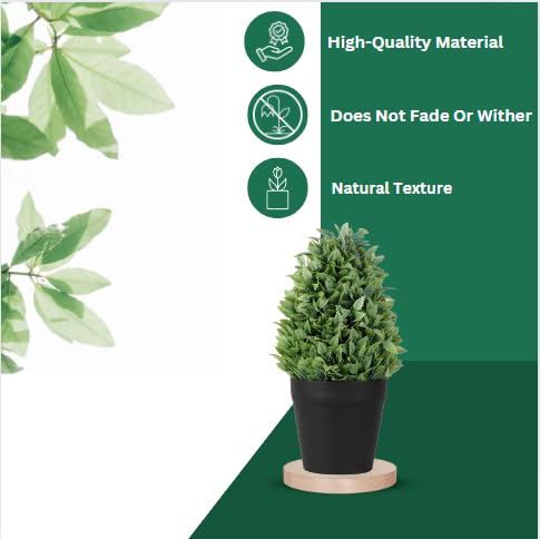 Image of Artificial Realistic Leaves Bonsai Potted Plant for Home Office Kitchen Living Room Hotel Restorent Table Corner Center Piece | Natural Look | Show Piece | 36 cm