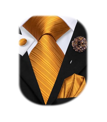 Image of Hi-Tie Mens Paisley Floral Striped Ties Set Silk Necktie and Lapel Pin for Men Pocket Square Cufflinks Set Business Wedding