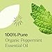 Plant Therapy Organic Peppermint Essential Oil 100% Pure, USDA Certified Organic, Undiluted, Natural Aromatherapy, for Diffusion, Skin, Hair, Therapeutic Grade 30 mL (1 oz)