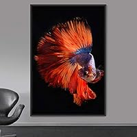 Framed Canvas Wall Art Fish Bedroom Colorful Jellyfish Marine Life Multicolor Neon Photography Tropical - 16x24 inches