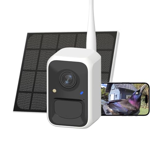 Birdfy Upgraded Smart Bird Feeder Camera Solar Powered Auto Bird Video Capture Instant Notifications AI Identify 6000+ Species