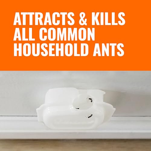 TERRO Multi-Surface Liquid Ant Baits, 4-Pack, Indoor Bait Stations for Home - image 8