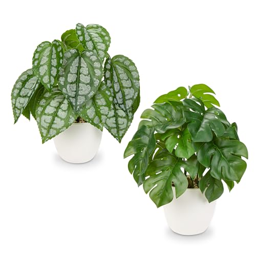 Oairse Juego de 2 plantas falsas en macetas de 24 cm, planta artificial de Monstera pequeña, falso Pothos, plantas en maceta decorativas tropicales realistas para decoración del hogar, cocina, baño
