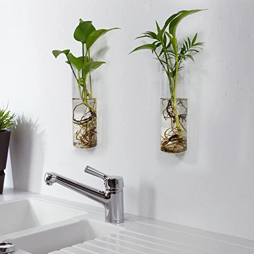 Wall Hanging Planter Glass Plant Propagation Station,Plant Terrarium Perfect for Home Garden Office Decoration Accessories-4 Cylinder Shape Container - Image 4