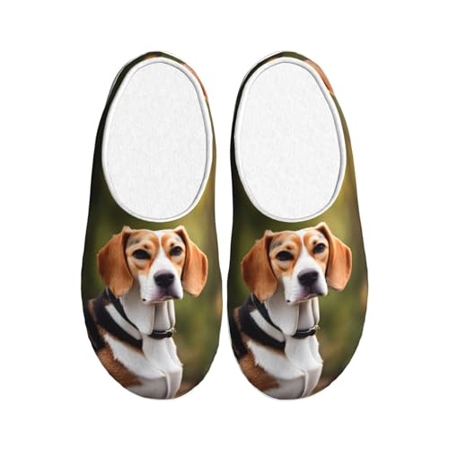 Chaussons d'hiver Beagle EdWal - Pantoufles chaudes pour moments cocooning