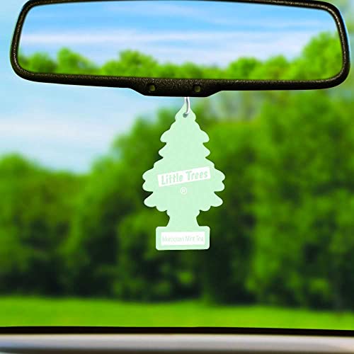 Little Trees Car Air Freshener 6-Pack (Moroccan Mint Tea) #TOP1