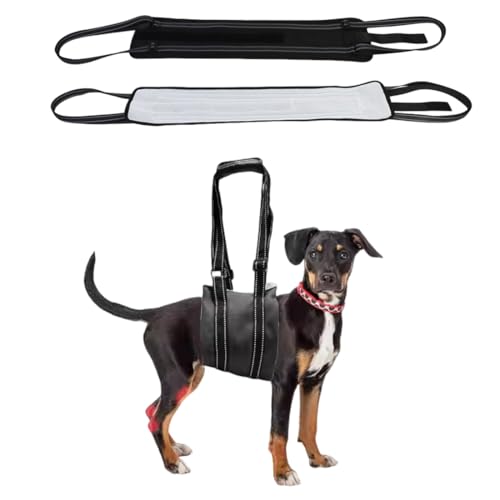 GXGM 1 Pcs Imbracatura per Cani,Imbracatura Cane Zampe Posteriori,Per Sostenere Cani Disabili e Cani Anziani,Fornire loro un Supporto Sicuro,Adatto a Cani di Piccole Dimensioni(S)