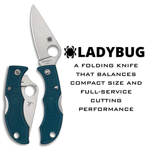 Spyderco Ladybug 3 couteau de poche bleu avec son manche de 6 cm robuste