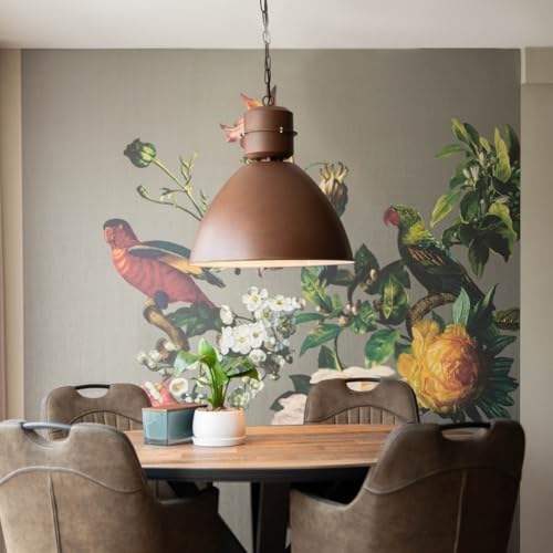 Lámpara de techo industrial Flynn para iluminar mesas de comedor modernas 2