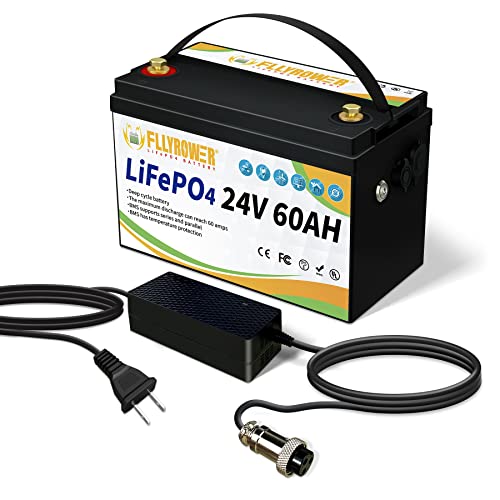 24V 60Ah LiFePO4 Lithium Battery, Over 8000+ Rechargeable Deep Cycle, Grade A Battery Cells with Built-in Upgraded BMS, Applied for Solar, Marine, Boat, Trolling Motor