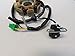 Gorillamechpro GorillaMech Pro Kandi 8-Coil Magneto Stator for 125cc 200cc Go Karts and ATVs Cyclone KD-200GKA-2. KD-200GKM-2, KD-200GKH-2, KD-200GKJ-2, MDL-200ASG-2