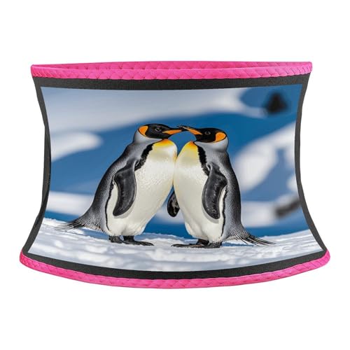 Cinturilla Entrenadora Estampada Pinguinos en Nieve miniatura 1
