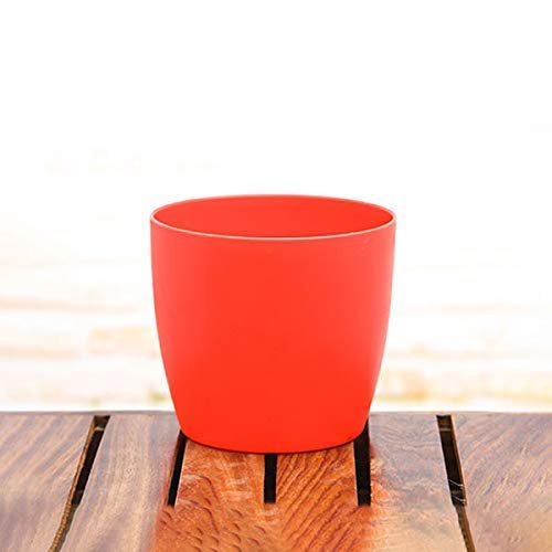 Emerald Pot Emerald Flower Pot, Plastic Plant Flower Seedlings Nursery Pot/Pots Colorful Flower Plant Container Seed Pots, Plants Pots (10ICH, Yellow) (B09XBCM79D) Amazon Price History, Amazon Price Tracker