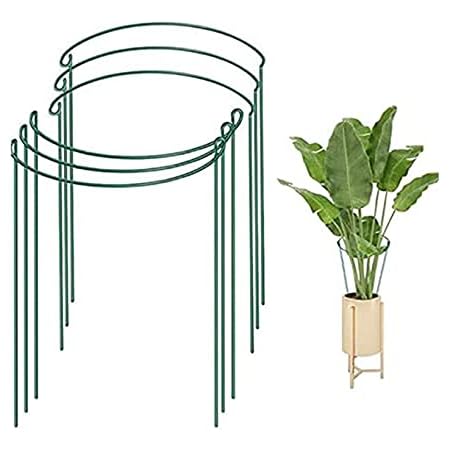 Amazon Champion Crafts 植物支柱 2 4個入 花ささえ つる性植物 観葉支柱パックガー ガーデニング用支柱 花支え 農業用 園芸用 35cmx70cm 4個入 支柱 Amazon Champion Crafts 植物支柱 2 4個入 花ささえ つる性植物 観葉支柱パックガー ガーデニング用支柱 花支え 農業用 園芸用 35cmx70cm 4個入 支柱