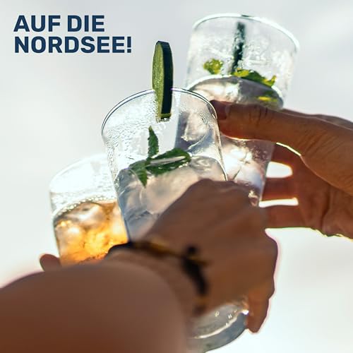 NORDSEEGUT WATT`N GIN 0.5L - Nordsee Premium Dry Gin 42% Vol. I vegan mit handverlesenen Zutaten wie Hagebutte, Lavendel und fruchtiger Orange, Salzwiesen, Wattenmeer