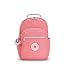 Joyous Pink Fun