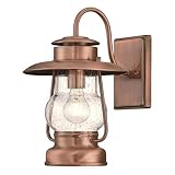 Westinghouse 6373100 Santa Fe One-Light Outdoor Wall Lantern, Washed Copper Finish with Clear Seeded Glass Porch Light
