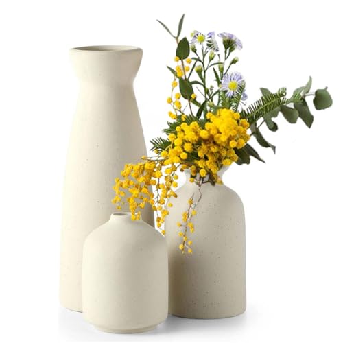 iikuru ԕr   3 Zbg t[x[X   ֑}