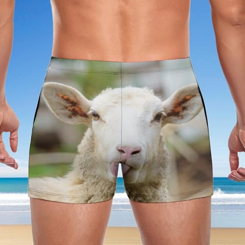 Short de bain homme séchage rapide Mouton Mignon boxer natation sport