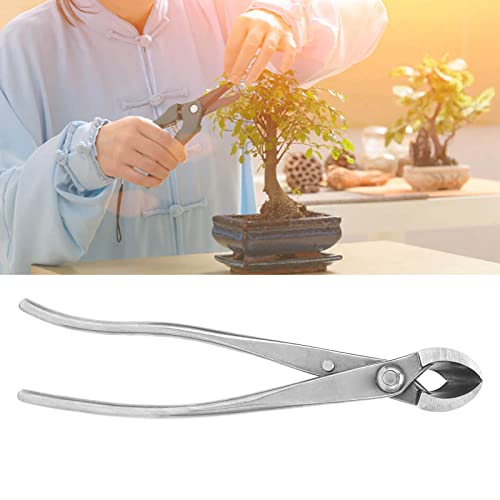 Herramienta Corte Bonsai Basic Inox 21 cm miniatura 7
