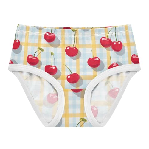 Wusikd Cherries Gingham Girls' Underwear Cotton Girls Briefs Soft Toddler Underwear 2T