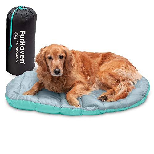 Top 10 Best Travel Dog Beds in USA 2022 for Pet Parents on the Go