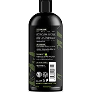 Oatmeal 2 in 1 Dog Shampoo and Conditioner for Dry Itchy Sensitive Skin – Moisturizing Hypoallergenic Shampoo – Oatmeal Wash with Aloe for Any Pet Dog Puppy or Cat 16.9 Fl Oz (Pack of 1)