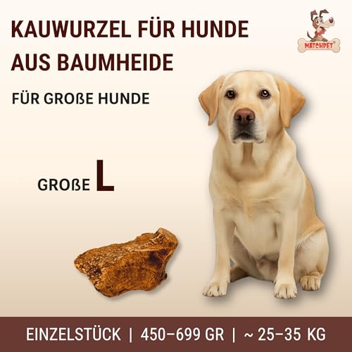 Kauwurzel für Hunde aus Baumheide Natürlicher Kausnack aus Hartholz Langlebig & splitterfrei Größe Large