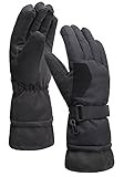 Livingston Women's Waterproof Two-Toned Touchscreen Ski Gloves