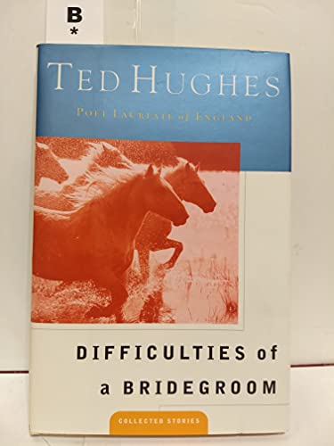 Difficulties of a Bridegroom 031214587X Book Cover