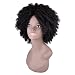Miss Rola Synthetic Afro Curly Wig Soft Silk Kanekalon Fiber For Black Women Short Kinky Hair Natural Black Color 11" 162g (2#)