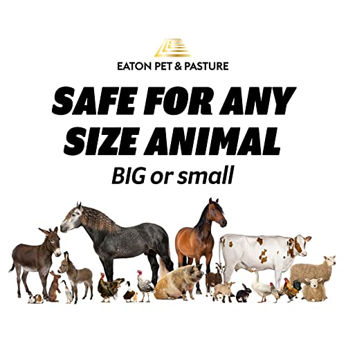 Eaton Pet and Pasture, Naturally Grown Hemp Pet Bedding for Chickens, Nesting Boxes, Rabbits, Hamsters, Small Pets, Highly Absorbent, Hypoallergenic, Eco-Friendly, Farmer Owned 28L - Image 6