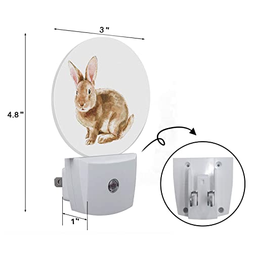 Image of Axayaz Rabbit Plug in Night Light Cute Animal Sketch of Bunny with Quote Happy Easter Brown Feather Auto LED Lamp Energy Saving Round Lights for Boys Girls Men Women