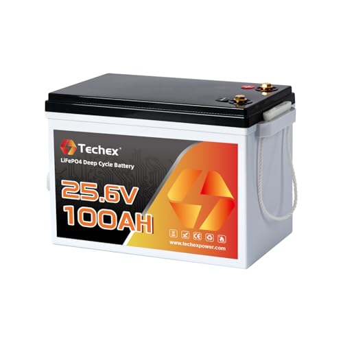 TechCella 24V 100Ah LiFePO4 Battery, 100A BMS, 2560W Load Power, Low Temp Cut Off, Deep Cycle, 24V...