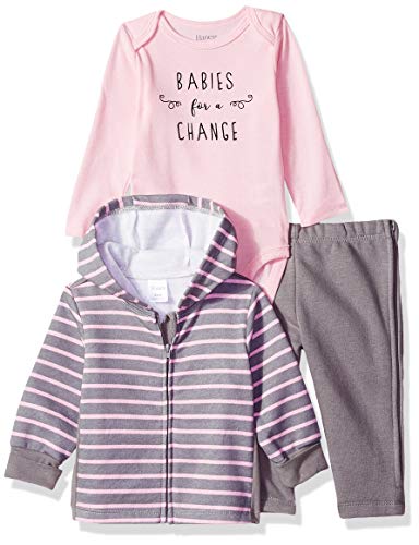 Hanes Ultimate Baby Zippin Zip Pant with Bodysuit and Fleece Hoodie, Pink/Grey Stripe, 18-24 Months