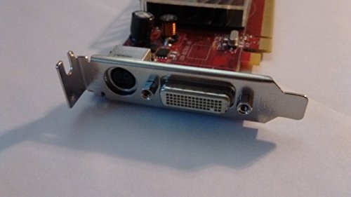 Ati Radeon Hd 2400Xt 256Mb Low Profile Graphics Card (Full Size Bracket, Dms-59 To Dual Vga Adapter) #TOP1